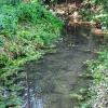 Der Hachteler Bach im gleichnamigen Stadtteil von Bad Mergentheim: In Flüssen und Bächen wird aktuell das Wasser knapp, bei Entnahmen ist deshalb Zurückhaltung geboten.