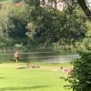 An diesem Montag war reichlich Platz für Besucher am Baggersee in Trennfeld.