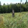 Eine hohe Artenvielfalt an Vögeln und Insekten weisen buschige Übergänge vom landwirtschaftlich bestellten Feld zum eigentlichen Wald auf. In diesem Stück wachsen Spitzahorn, Kirsche, Nussbaum, Berghorn und andere Gehölze hinter Sanddorn, Kornelkirsche, Hasel, Felsenbirne, Weißdorn, Heckenrose, Wildapfel und anderem Buschwerk. Auch hier muss zum Schutz die Konkurrenzflora eingedämmt werden. Eine hohe Artenvielfalt an Vögeln und Insekten weisen buschige Übergänge vom landwirtschaftlich bestellten Feld zum eigentlichen Wald auf. In diesem Stück wachsen Spitzahorn, Kirsche, Nussbaum, Berghorn und andere Gehölze hinter Sanddorn, Kornelkirsche, Hasel, Felsenbirne, Weißdorn, Heckenrose, Wildapfel und anderem Buschwerk. Auch hier muss zum Schutz die Konkurrenzflora eingedämmt werden.