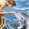 „Man ruft nur Flipper, Flipper, gleich wird er kommen“: Luke Halpin und sein Delfin in der Serie „Flipper“ aus den 60ern.