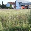 Nicht nur Disteln und Unkraut müssen von der Industriebrache am "Fronhof" in Salz entfernt werden, bevor die Fläche bebaut werden kann. Auf dem Areal befinden sich auch noch Wohnhäuser, die allerdings teilweise schon leer stehen.