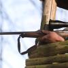 Im Gemeinsamen Bürgerwald von Gerolzhofen und Dingolshausen werden vier neue Pirschbezirke eingerichtet, die jährlich an private Jäger verpachtet werden. 