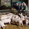 Wer beäugt hier wen? Vertreter des Bund Naturschutz besichtigten den Biohof von Eberhard Räder in Bastheim. 