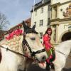 Die historische Kulisse mit dem prächtigen Residenzschloss in Bad Mergentheim macht den besonderen Charme des Bad Mergentheimer Pferdemarktes aus.