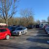Etliche Bäume stehen auf dem Parkplatz an der Lache und am Bolzplatz daneben. Einige Bürger fordern ihren Erhalt, wenn das Areal ausgebaut wird.