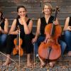 Das Elisen Quartett des Bayerischen Kammerorchesters kommt am 11. Februar ins Kloster Wechterswinkel.