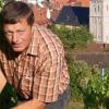 Winzer Paul Schmitt erntet die ersten Trauben für den Federweißer.