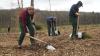 Nach großen Fichtenschäden werden im Eußenheimer Gemeindewald mehrere Hektar wieder aufgeforstet. Damit wird der Grundstein für den Wald der Zukunft gelegt. Aber wie soll der in Zeiten des Klimawandels aussehen?
