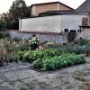 Der Erweiterungsbau der Kindertagesstätte in Sommerach soll auf dem Gelände des früheren Pfarrgartens entstehen. Der Erweiterungsbau der Kindertagesstätte in Sommerach soll auf dem Gelände des früheren Pfarrgartens entstehen.
