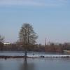 Die Insel im Baggersee der Schweinfurter Naherholungsanlage wurde im Winter 2018 auf Stock geschnitten, so dass hernach weniger Gänse dort siedelten. Die Insel im Baggersee der Schweinfurter Naherholungsanlage wurde im Winter 2018 auf Stock geschnitten, so dass hernach weniger Gänse dort siedelten.