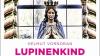 Die Muttergottes von Heroldsbach ziert das Cover des neuen Vorndran-Frankenkrimis. Die Marien-Erscheinungen in dem Ort spielen in "Lupinenkind" eine wichtige Rolle.