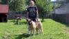 Marina Neuner, Leiterin des Tierheims Schwebheim, zeigt Hündin Maja, eine dreijährige American Akita.