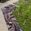 Wirbelsturm auf dem Blumenbeet: Beim Betrachten der Fläche zum Thema Klima werden Wetterereignisse wie Blitz und Starkregen, aber auch Wirbelsturm sichtbar.