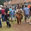 Keine Angst vor wild bemalten Indianern im Nassig-Forest. Keine Angst vor wild bemalten Indianern im Nassig-Forest.