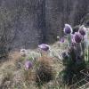 Die Rhön: Naturfotografien von Matthias Poppe.