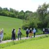 Über Wiesen und Wälder geht es beim Wandertag zum Industriepark Würth.