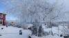 Kein Schnee im Flachland, dafür auf der Wasserkuppe, wie unser Bild vom Dienstag zeigt. 