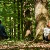 Die Sinne öffnen: Auch das gehört zum Waldbaden. Die Sinne öffnen: Auch das gehört zum Waldbaden.