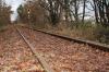 Die Trasse der ehemaligen Steigerwaldbahn. Was damit werden soll, ist politisch weiterhin umstritten.
