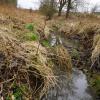 Eine gigantische Menge an Gärresten ist aus einer Biogasanlage in Fuchsstadt (Lkr. Würzburg) ausgetreten: Der Fuchsstädter Bach im Rottenbaurer Grund zwischen Würzburg und dem Stadtbezirk Rottenbauer ist über Jahre biologisch tot.