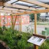 Auf der Landesgartenschau in Würzburg 2018 gab es bereits eine Schmetterlingsvoliere vom Bund Naturschutz. Auf der Landesgartenschau in Würzburg 2018 gab es bereits eine Schmetterlingsvoliere vom Bund Naturschutz.