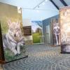 Die Ausstellung „Die Rückkehr des Wolfs“ ist bis zum 6. April im „Haus der Langen Rhön" zu sehen.