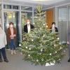 Start der Wunschbaum-Aktion in der VR-Bank: (von links) Irene Schmitt und Elisabeth Orth von Gerolzhofen-aktiv, Direktor Klaus Henneberger und Carola Antretter von der VR-Bank sowie Bürgermeister Thorsten Wozniak. Start der Wunschbaum-Aktion in der VR-Bank: (von links) Irene Schmitt und Elisabeth Orth von Gerolzhofen-aktiv, Direktor Klaus Henneberger und Carola Antretter von der VR-Bank sowie Bürgermeister Thorsten Wozniak.