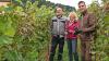 Bei der Weinlese am Kloster Bronnbach: Betriebsleiter Peter Arnold vom Weingut Fürst Löwenstein, Dezernentin Ursula Mühleck und Kulturamtsleiter Frank Mittnacht.