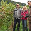 Bei der Weinlese am Kloster Bronnbach: Betriebsleiter Peter Arnold vom Weingut Fürst Löwenstein, Dezernentin Ursula Mühleck und Kulturamtsleiter Frank Mittnacht.