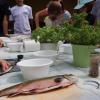 Ausflug in die Fischzucht Gerstner: Die Kinder dürfen die selbst gefangenen Fische zubereiten. Ausflug in die Fischzucht Gerstner: Die Kinder dürfen die selbst gefangenen Fische zubereiten.