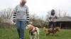 Gerty Fischer (links) aus Michelau mit ihrem Hund "Luis" und Sabine Maier aus Gerolzhofen mit ihrem Hund "Lucky" sind als Therapiehunde-Teams in Altenpflegeeinrichtungen in Gerolzhofen im Einsatz.