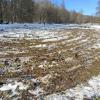 Am 12. oder 13. Februar hat ein Unbekannter auf der Brandwiese im Gramschatzer Wald mit seinem Auto Runden im Schnee gedreht und sie beschädigt.
