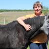 Top-Ten-Artikel aus 2020: Auch der 40. Geburtstag der Ponydame Cindy aus Obervolkach  hat es ins Ranking geschafft. 