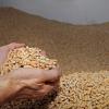 Holzpellets bestehen aus Sägemehl oder Hobelspänen.