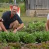 Gartenbaugruppen-Vorsitzender Christian Gräbner (von links) mit seinem Sohn Felix und Burschenschafts-Vorsitzender Markus Volbers laden die Menschen dazu ein, sich in Etwashausen auf dem Salatblumenacker selbst ihre Salate oder ab Oktober Kohlköpfe zu ernten.