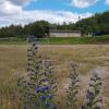 Am Kleinbardorfer Sportplatz freut sich die Natur.