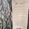 Bevor diese Schwarzpappel in städtischem Besitz am Spitalseebunker im Februar gefällt wurde, befestigte ein unbekannter Zeitgenosse diese Mahnung am Baum. Gefällt wurde er trotzdem. Bevor diese Schwarzpappel in städtischem Besitz am Spitalseebunker im Februar gefällt wurde, befestigte ein unbekannter Zeitgenosse diese Mahnung am Baum. Gefällt wurde er trotzdem.