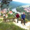 Ein Archivbild aus Vor-Corona-Zeiten: Weinwanderer in Homburg beim Aufstieg zum Naturschutzgebiet Kallmuth, der von herrlichen Blicken in das Maintal begleitet wird.