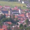 Bischofsheims denkmalgeschütztes Stadtbild würde durch den geplanten Bau eines über 25 Meter hohen Mobilfunkmastes erheblich gestört. Ein entsprechender Bauantrag wurde abgelehnt.