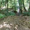 Die extra aufgeschüttete Rampe für besonders spektakuläre Sprünge in die Tiefe im Staatswald bei Höchberg ist mittlerweile von Mitgliedern der Würzburg Riders unbrauchbar gemacht worden.