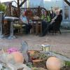 Der Lieblingsplatz für den Feierabend: Die schattige Sitzecke unter der Pergola im liebevoll gestalteten Freiluftbereich der Gärtnerei. Der Lieblingsplatz für den Feierabend: Die schattige Sitzecke unter der Pergola im liebevoll gestalteten Freiluftbereich der Gärtnerei.