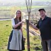 Weinprinzessin Sarah Schmidt pflanzte zusammen mit ihrem Vater Reinhard Schmidt eine Zwetschge.