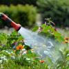 In Mellrichstadt kann ein separater Wasserzähler für Gartenwasser beantragt werden. 