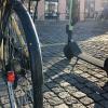 Neben Fahrrädern werden bald auch andere Fahrzeuge auf Würzburgs Radwegen unterwegs sein. Ob das gut geht?