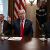 US-Präsident Donald Trump bei einem Treffen mit Abgeordneten der Republikaner zur Einwanderung.