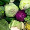„Gut und gesund essen, verantwortlich produzieren und einkaufen“ lautet der Titel der Veranstaltung der Ortsgruppe des Bund Naturschutz am Freitagabend in der Alten Turnhalle in Lohr.