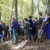 (lke)   Es ist mittlerweile eine Tradition, dass im Herbst die neunten Klassen der Widar-Schule Bochum zum Forstpraktikum in den Kürnacher Wald kommen. Dort wird gesät, durchforstet und gepflegt. Unter der Schirmherrschaft von Bürgermeister Thomas Eberth und Anleitung von Bauhofleiter Reinhard Heinrich und Förster Germann-Michael Hahn führten die Schüler ein laut Pressemitteilung besonderes Projekt aus: Sie sähen Tannen nach, durchforsteten Jungbestände und betrieben dabei sowohl Naturschutz als auch Brennholzwirtschaft. Laut Förster Michael Hahn fördere der Eingriff Struktur- und Artenreichtum. „Der Begriff der Nachhaltigkeit erhält an kaum einer anderen Stelle so viel Inhalt, wie beim Umgang mit dem komplizierten Ökosystem Wald“, sagte Bürgermeister Thomas Eberth. Wo Maschinen nur Schäden anrichten würden, war die Klasse zum Beispiel beim Sähen zugange. Für einen Klimawald trugen sie intensiv und großflächig Tannensaat auf einer gezäunten Fläche von 1,1 Hektar auf. Die Organisatoren waren sich  sicher, dass diese Aktion unbedingt wiederholt werden müsse.