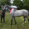 Die Stute „PB Amy Valentina“ wurde auf dem Ponytag in Gerolzhofen zur „Miss Franken“ gekürt.