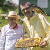 Dr. Hermann Stein (rechts), der Fachtierarzt mit der Zusatzbezeichnung  Bienen, tauscht sich mit dem ehemaligen Bienensachverständigen Paul Schmitt aus.