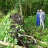 Vom Unwetter gefällt: Eine Esche in Acholshausen im Ochsenfurter Gau.